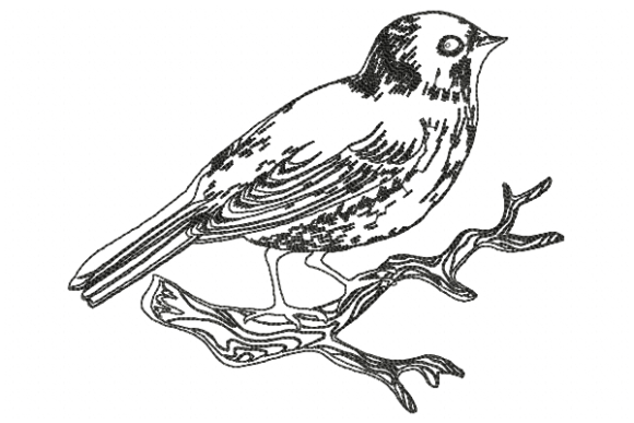 Bird Line Embroidery Review