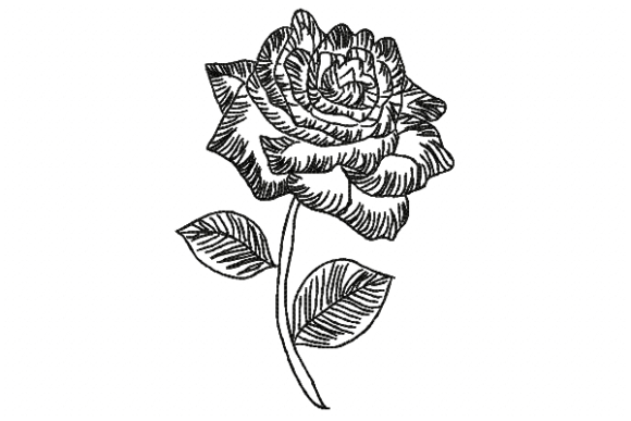 Rose Line Embroidery Design Review